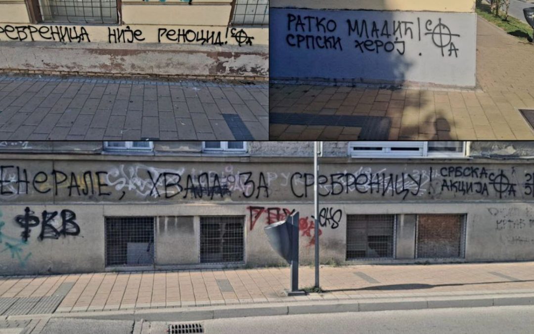 Наша акција у Новом Саду: Генерал Ратко Младић – србски херој! У Сребреници није било геноцида!
