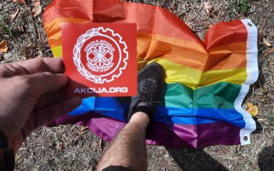 Једини прави бунт – борба против читавог система мондијалистичке окупације