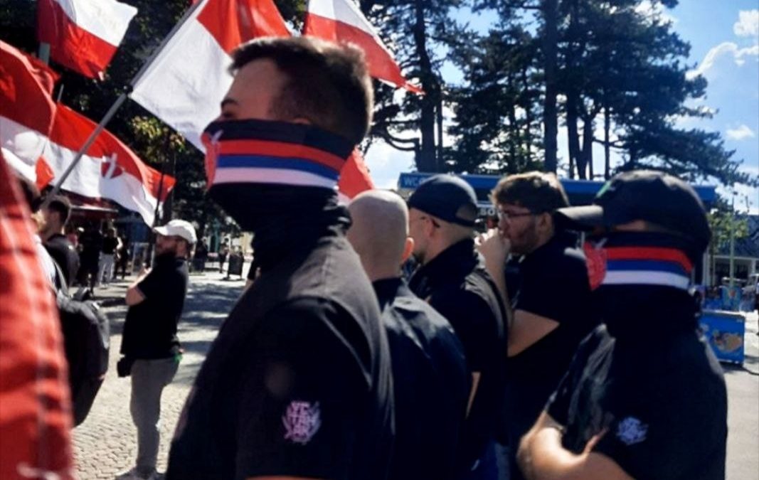 Србска Акција у Бечу