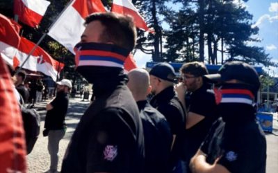 Србска Акција у Бечу